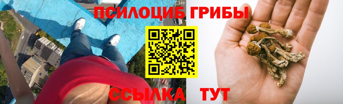 Галлюциногенные грибы ЛСД  Каспийск 